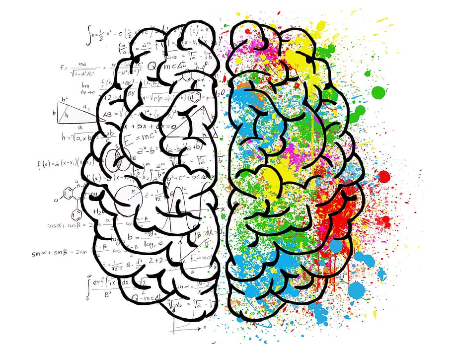 5 Important Pillars of Brain & Cognitive Health