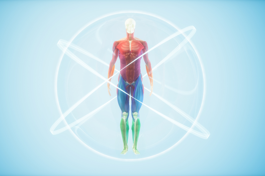 The Amazing Connection Between Cellular Memory and Our Health