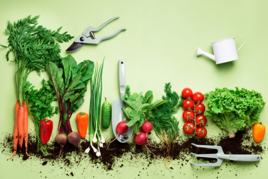 Can Dirt Determine Food Quality?