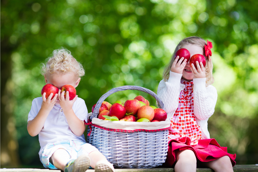 5 Healthy Snacks for Kids
