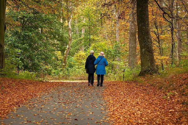 6 Powerful Ways to Bolster Your Immune Health