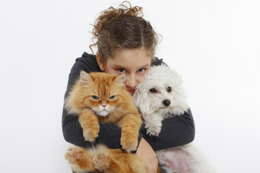 First Aid Kit For Your Pets