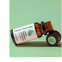 Thumbnail for Organic Rosemary 1,8-Cineole Essential Oil