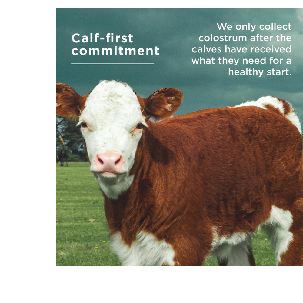 COLOSTRUM