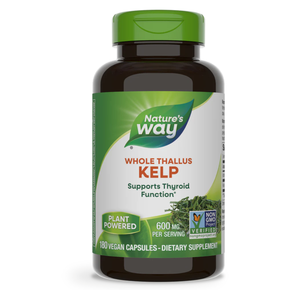 Kelp