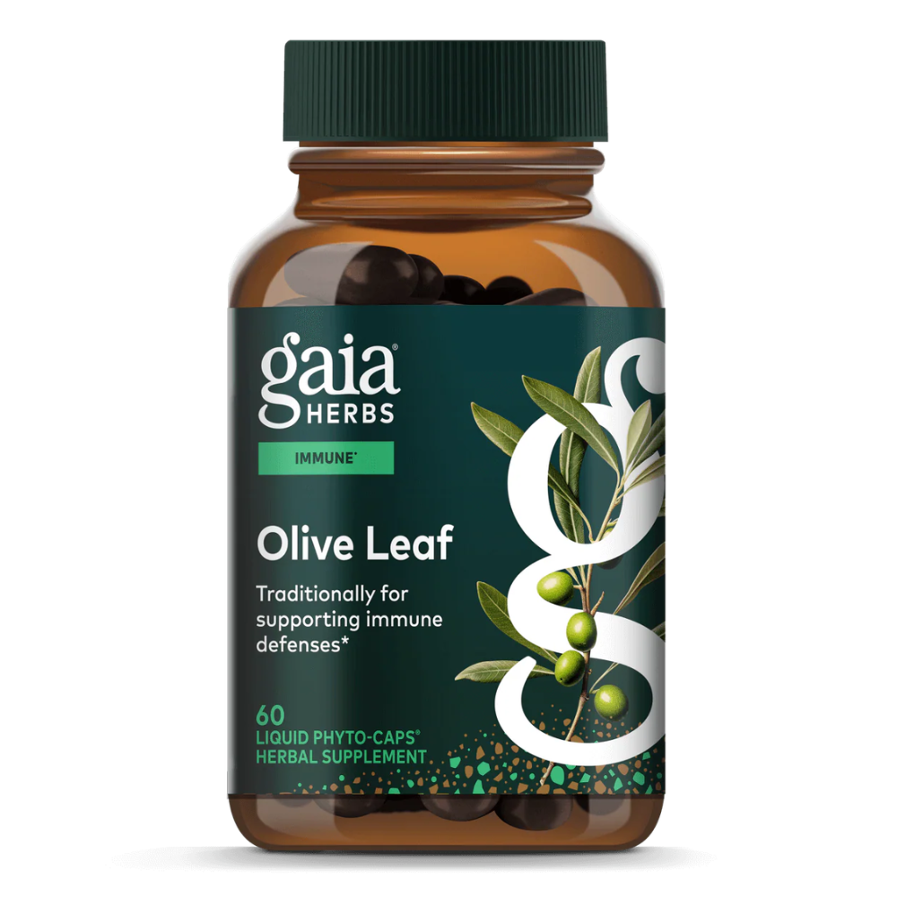 Hoja de Olivo