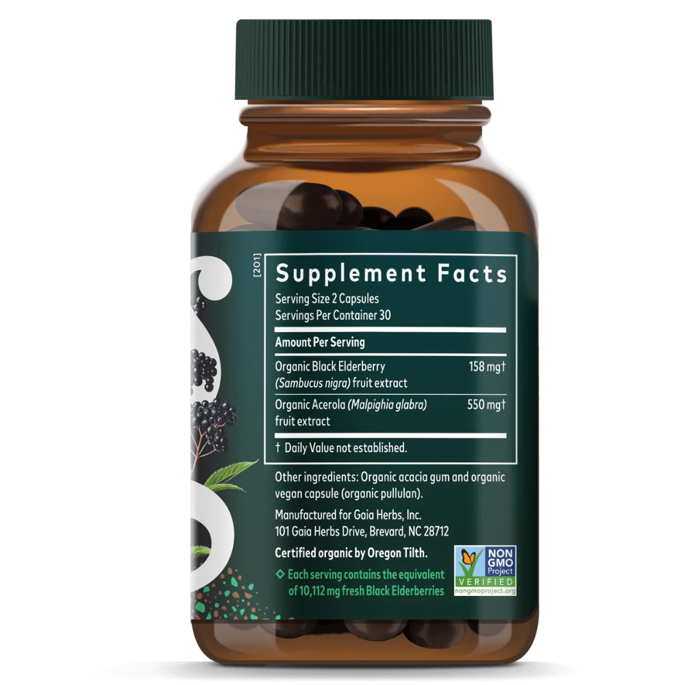 Black Elderberry