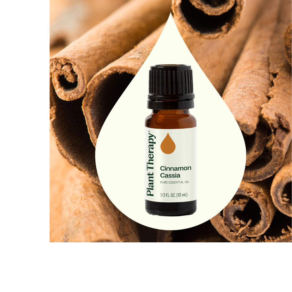 CINNAMON CASSIA ESSENTIAL OIL