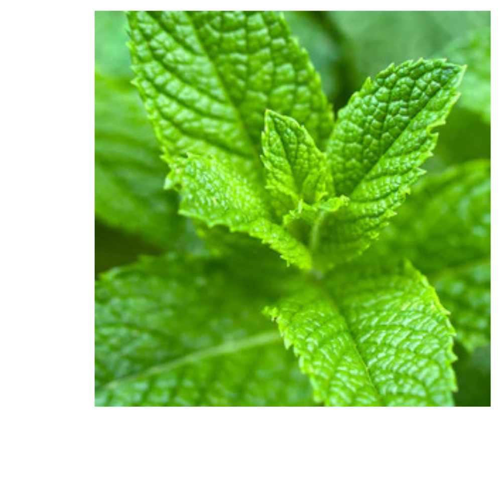 Stress Ease Tension Relief Tea
