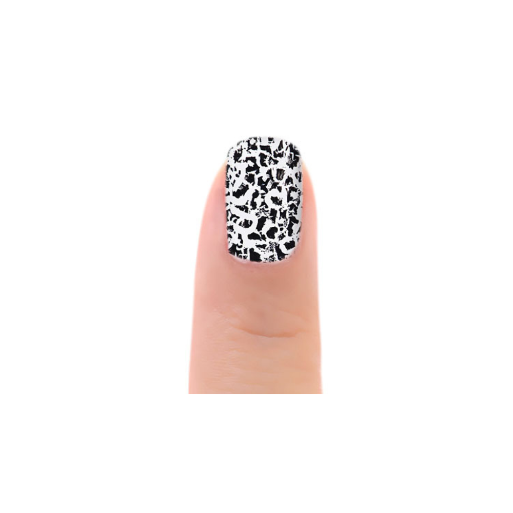 Topper de Puntos de Leopardo