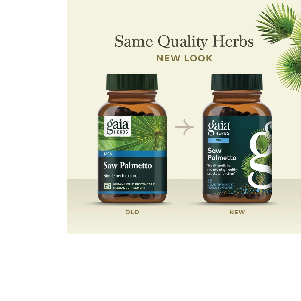 Saw Palmetto