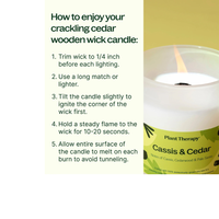 Thumbnail for CASSIS & CEDAR NATURALLY SCENTED CANDLE