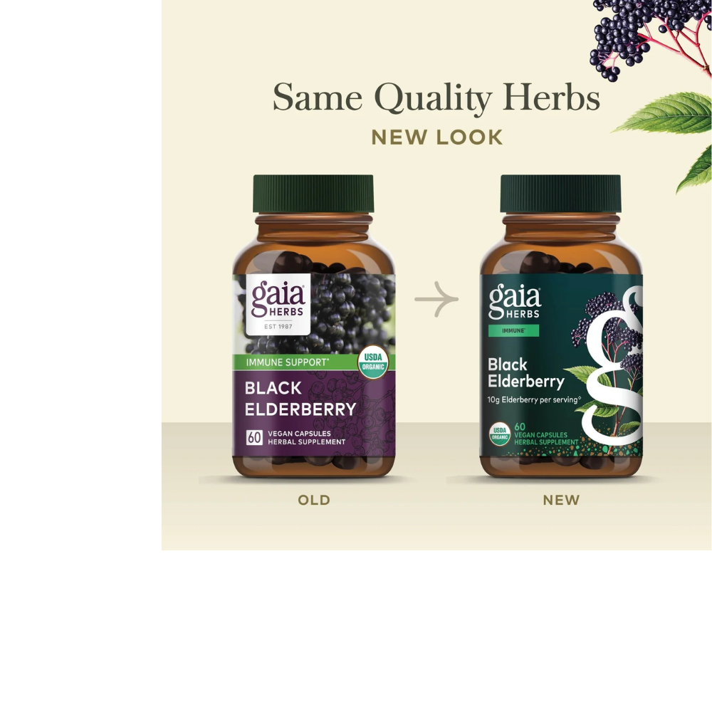 Black Elderberry