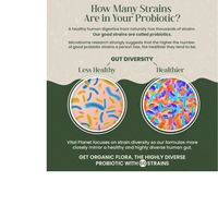 Thumbnail for Organic Flora Women’s Daily Probiotic Supplement