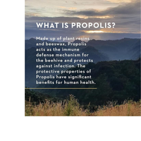 Thumbnail for Manuka Honey Lozenges, Propolis, MGO 400+