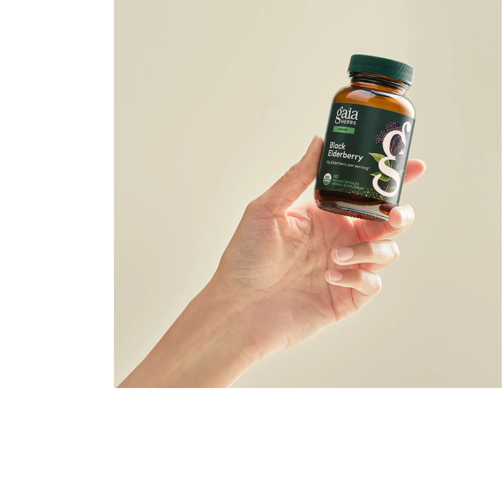 Black Elderberry