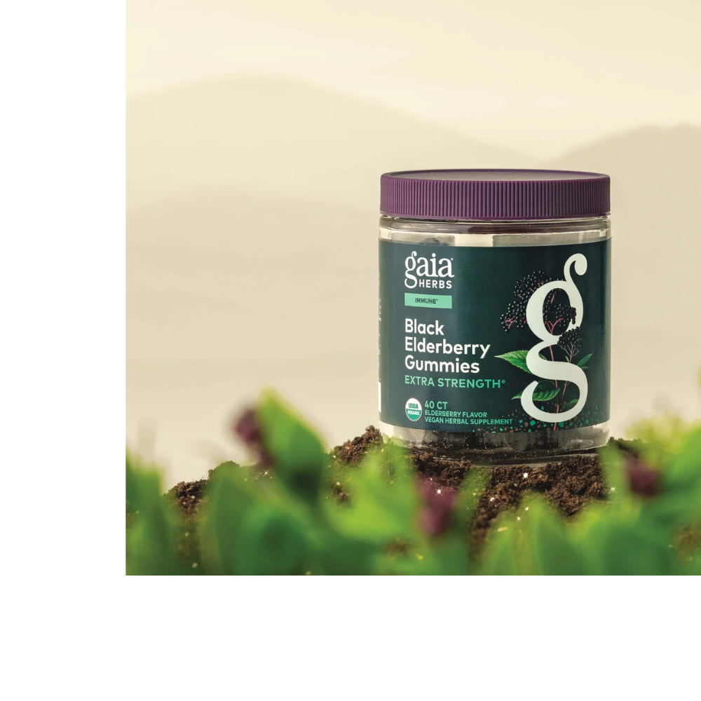 Black Elderberry Gummies Extra Strength