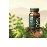 Thumbnail for Echinacea Goldenseal