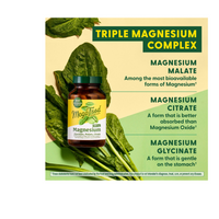 Thumbnail for Magnesium 300 mg Capsules