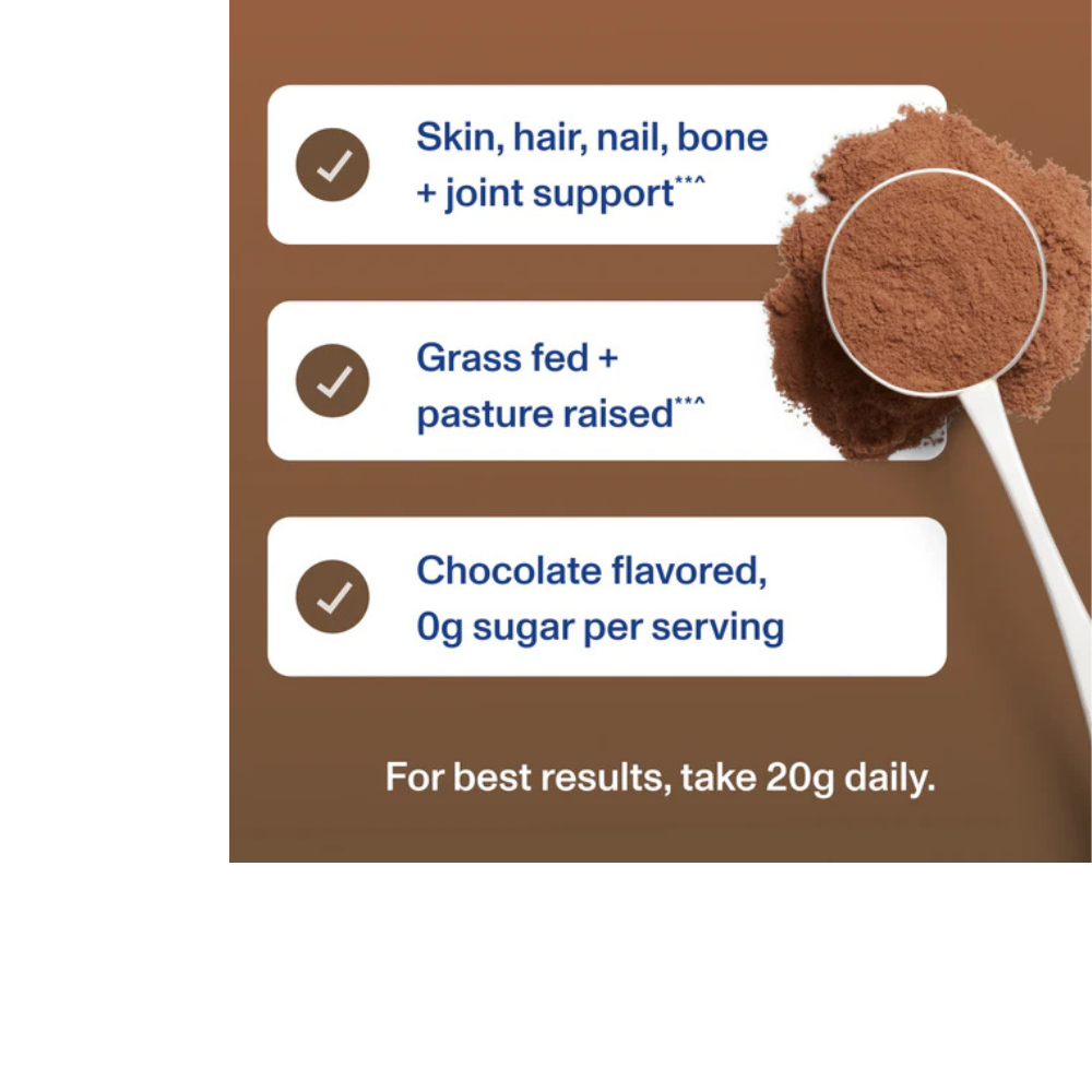 Chocolate Collagen Peptides
