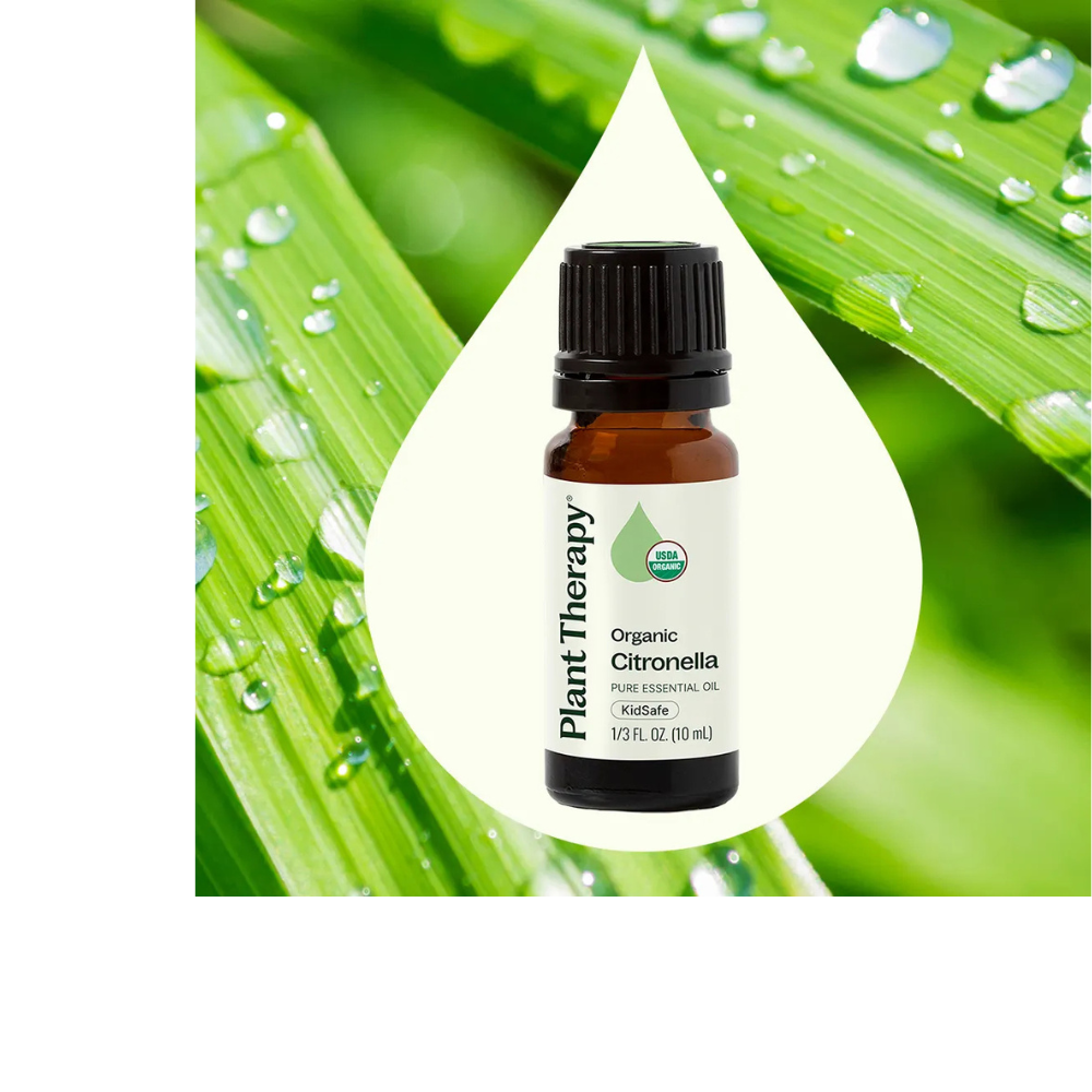Organic Citronella Essential Oil