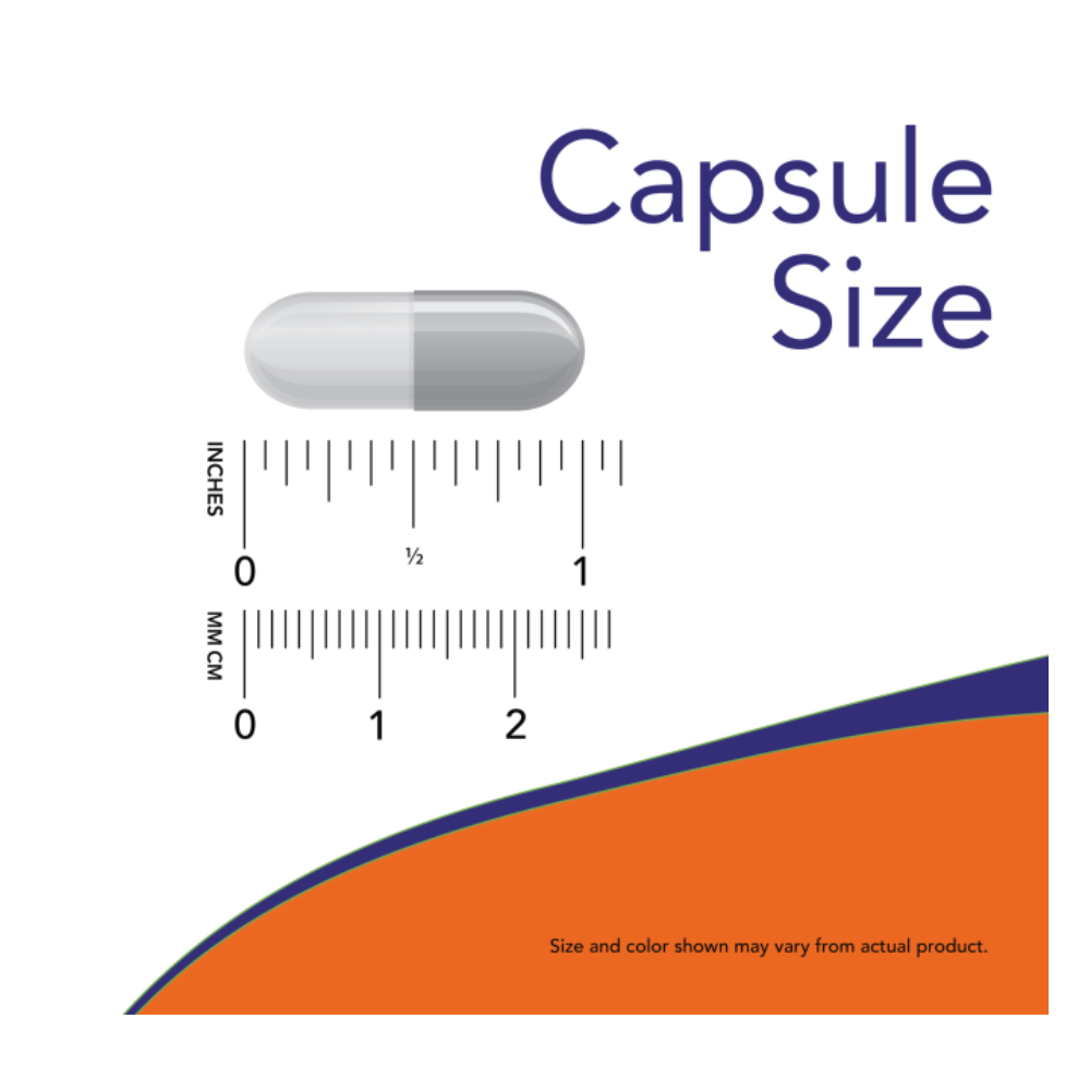 Cápsulas Vegetales de L-Carnitina 500 mg