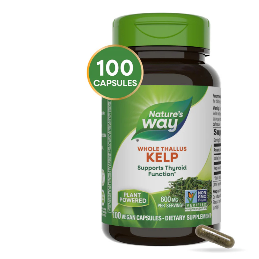 Kelp