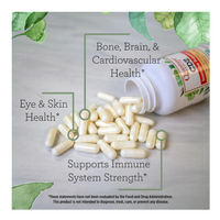 Thumbnail for CDZ IMMUNE SUPPORT