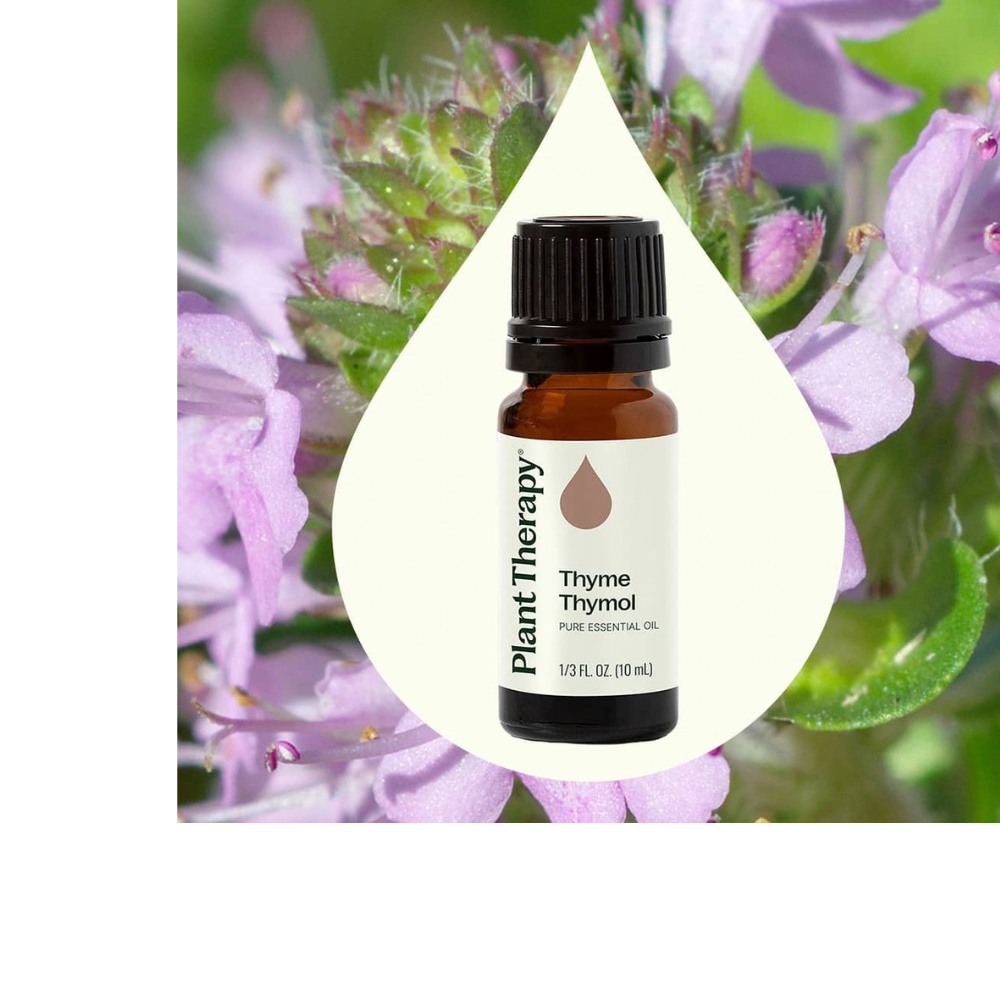 THYME THYMOL ESSENTIAL OIL