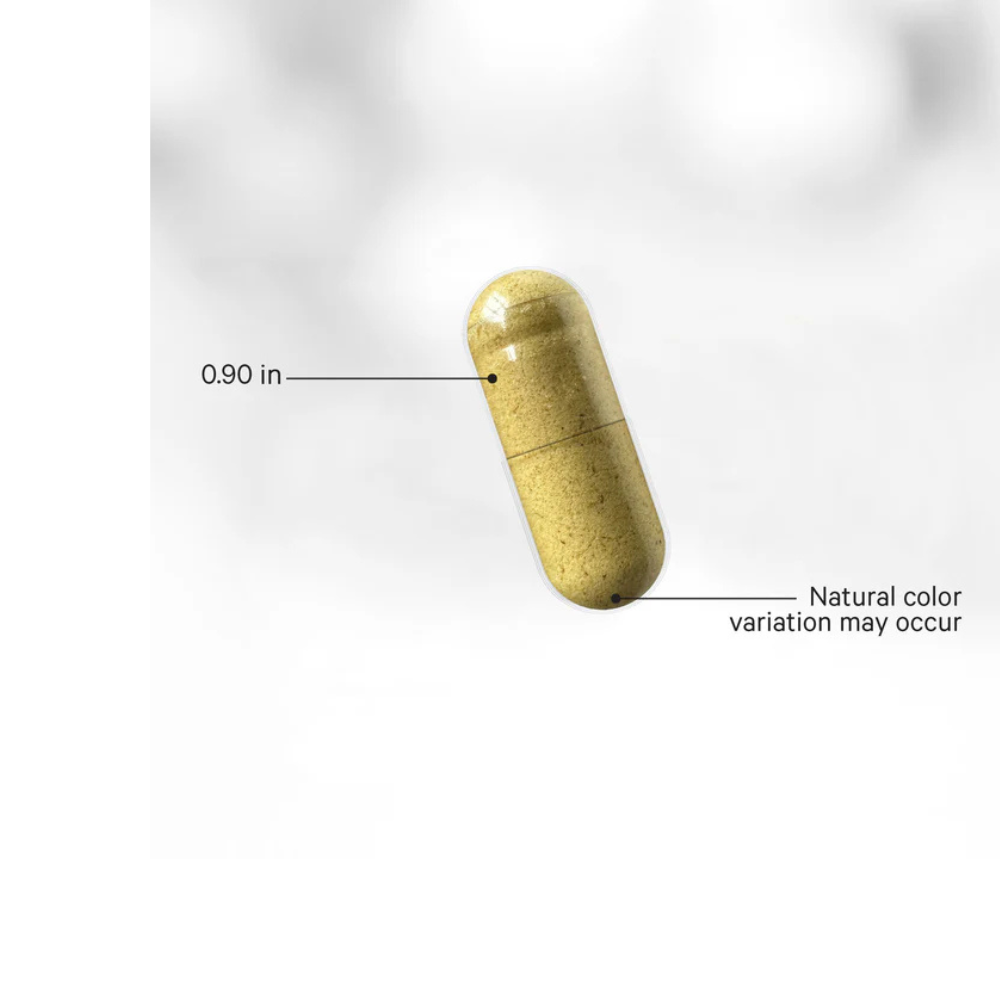 Fermented Digestive Enzymes Large