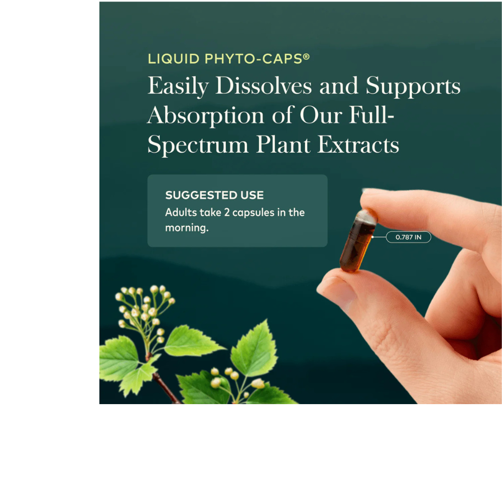 Adrenal Health Daily Support