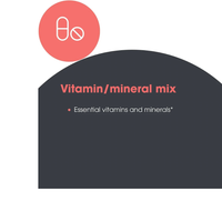 Thumbnail for Metabolic Maintenance Vitamin/Mineral Base Powder