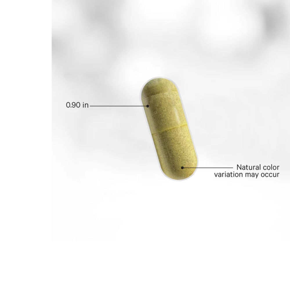 LEAKY GUT FORMULA