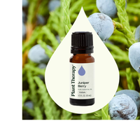 Thumbnail for JUNIPER BERRY ESSENTIAL OIL