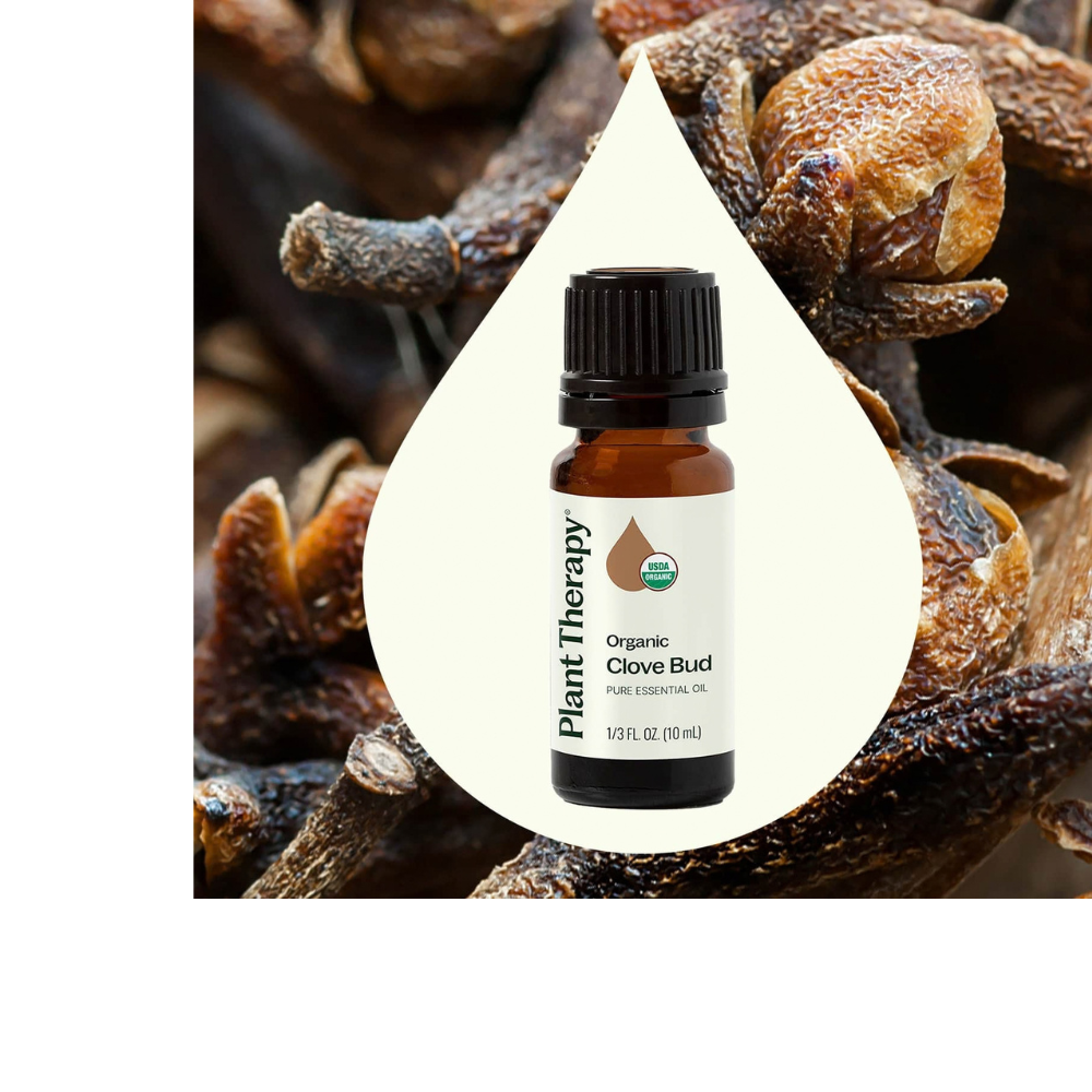 ORGANIC CLOVE BUD ESSENTIAL OIL
