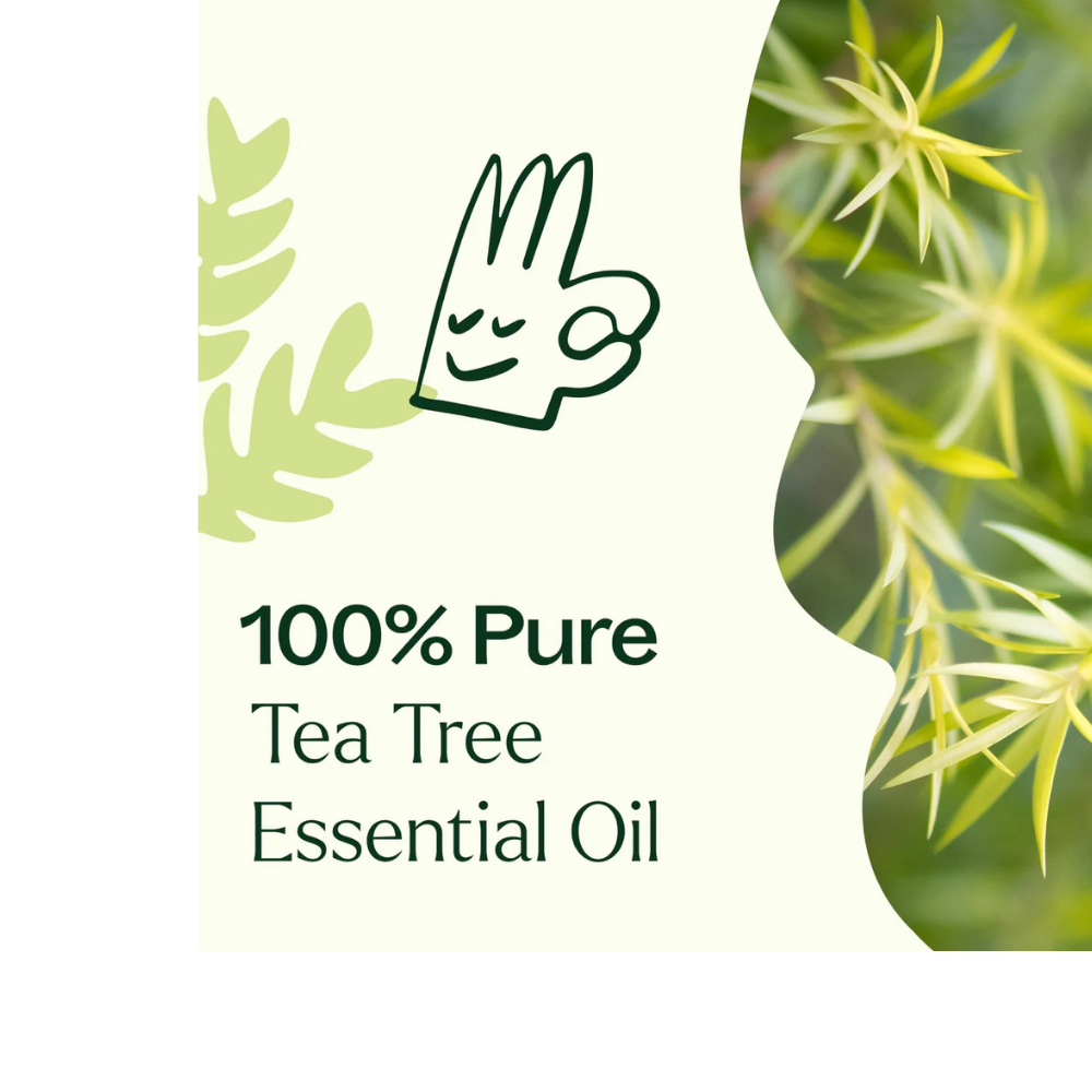 Aceite esencial de árbol de té