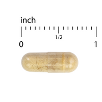 Thumbnail for PROPOLIS EXTRACT EP300