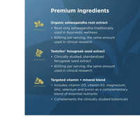 Thumbnail for MEN'S TESTOSTERONE BOOSTER