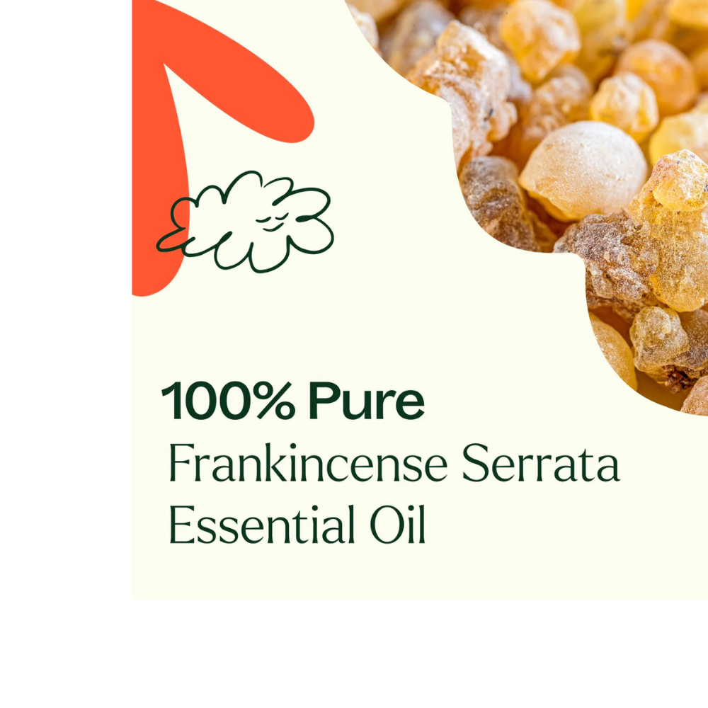 Frankincense Serrata Essential Oil