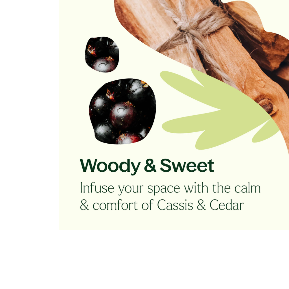 CASSIS & CEDAR NATURALLY SCENTED CANDLE