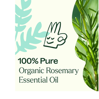 Thumbnail for Organic Rosemary 1,8-Cineole Essential Oil