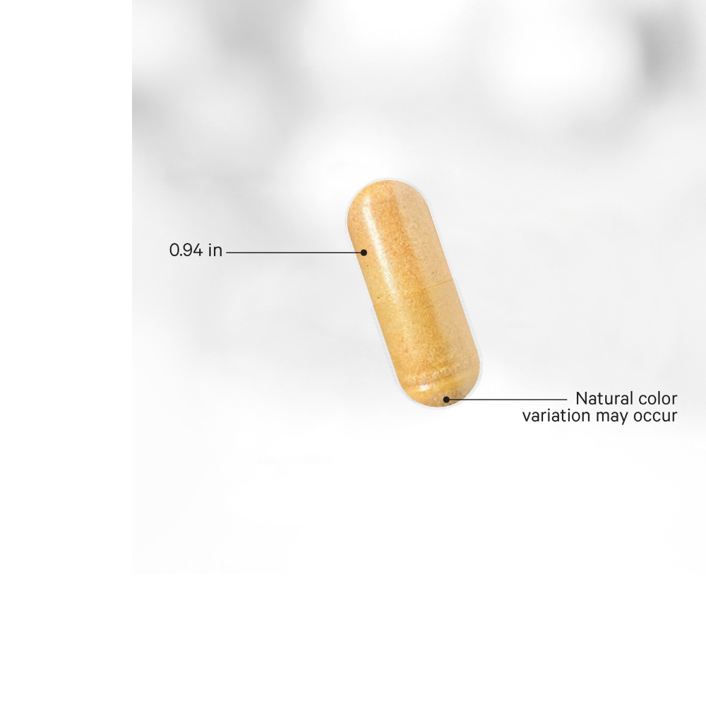 LIPOSOMAL NADH+ SPORT