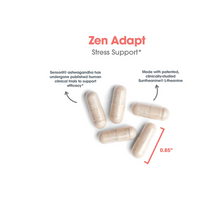 Thumbnail for Zen Adapt