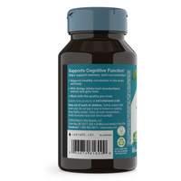 Thumbnail for Ginkgo Premium Extract