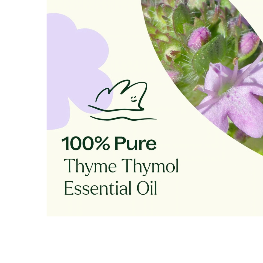THYME THYMOL ESSENTIAL OIL