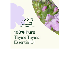 Thumbnail for THYME THYMOL ESSENTIAL OIL