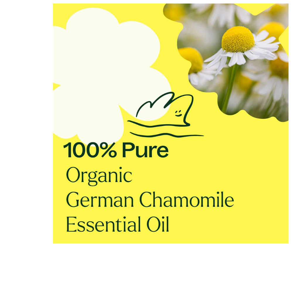 Aceite Esencial de Manzanilla Alemana Orgánica
