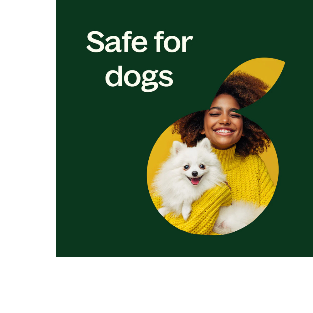 Aceite esencial de hierba limón orgánico