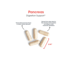 Thumbnail for Pancreas Pork