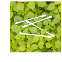 Thumbnail for Hisopos de algodón orgánico